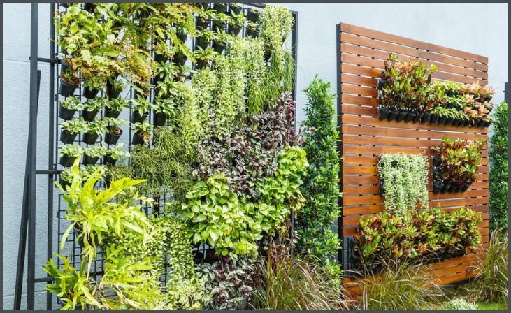 Vertical Gardens