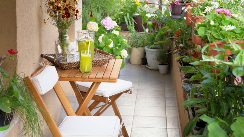 7 small balcony gardening tips for urban dwellers