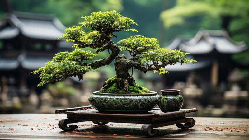 8 Types Of Bonsai Trees That Are Perfect For Beginners