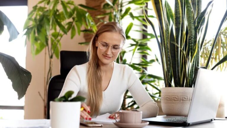 9 Best Office Plants That Need Low Maintenance Care